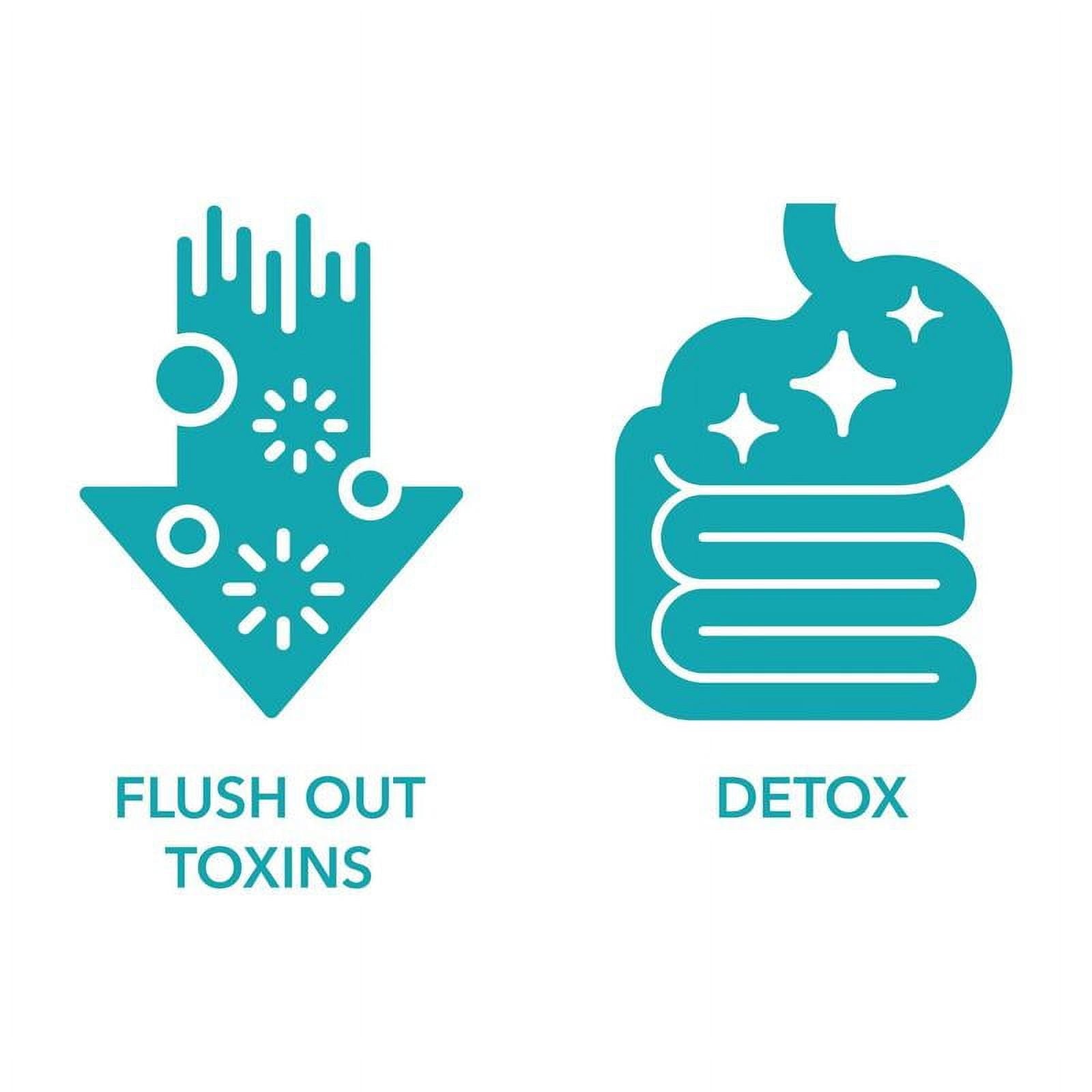 15 Day Cleanse - Gut and Colon Support